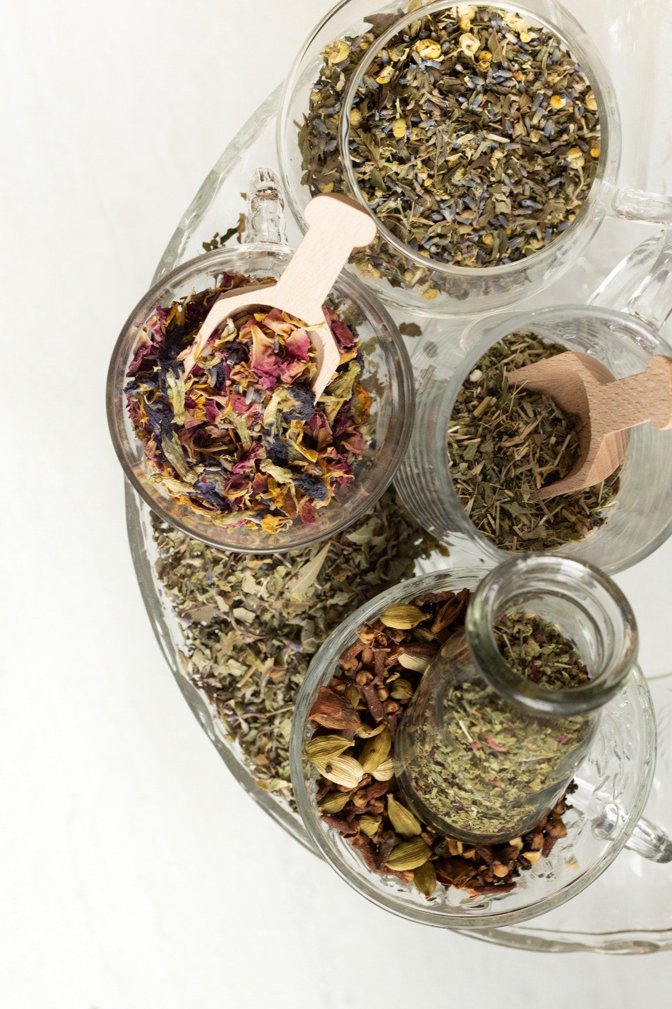Tea Making with Tea Snob - Discover the Secret to Ultimate Self-Care and Wellness!